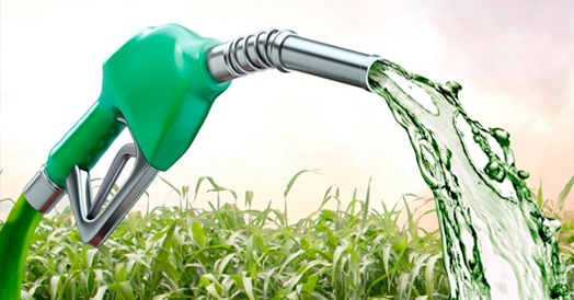 Consumo de etanol hidratado até novembro é o maior dos últimos anos